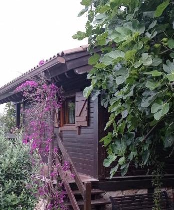 Acogedora cabaña con piscina