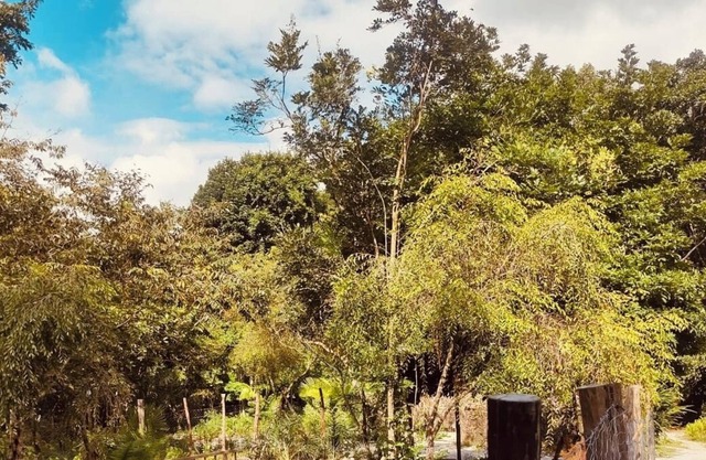 Aconchego Ioguita Moreré