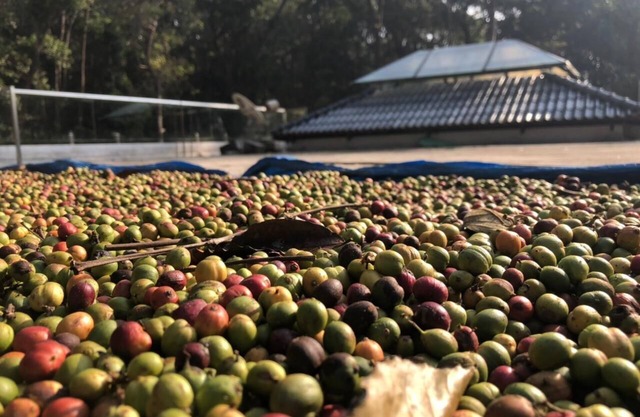 Adi's Home - with water falls