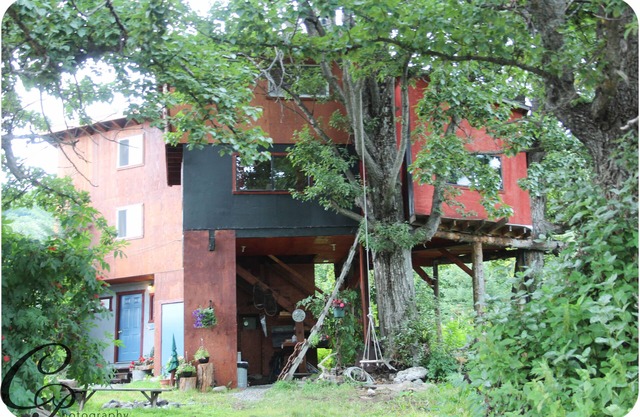 Adorable Tree House/Full Ammenities