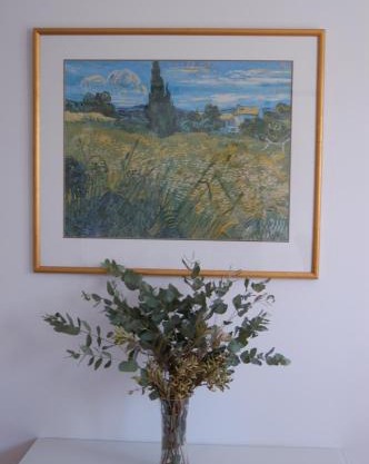 Affordable full house for family and pet friendly