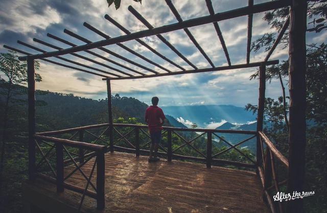 After the Rains - Rainforest Lodge