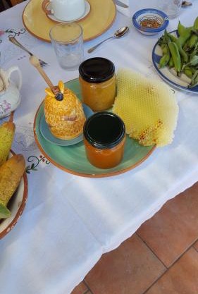 Agriturismo SoleMare