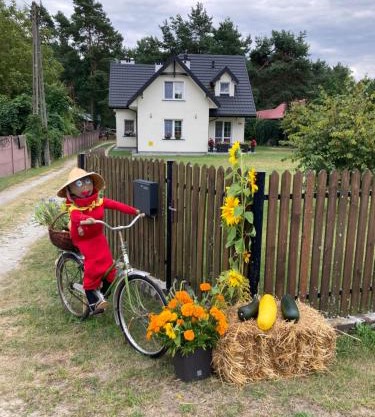 Agroturystyka u Sylwii