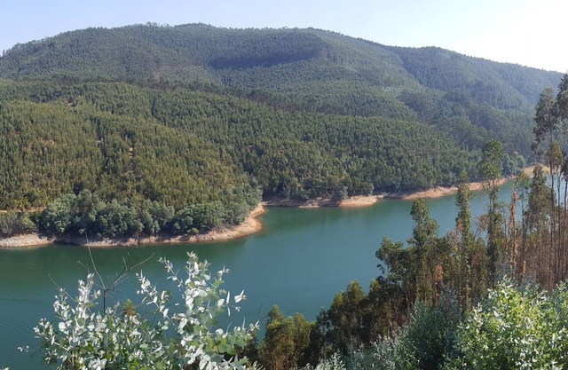 Aguas Belas B&be T1 Green