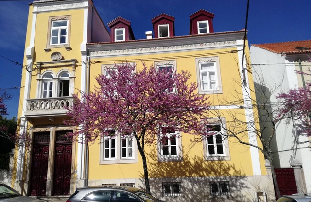 Ah33 - Triple Studio - University and Historic Center