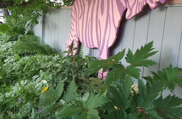 Airport Heights-Close to AK Regional Hospital 1 Bedroom