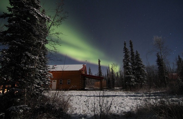 Alaska Aurora Adventures Cabin B World class Northern lights viewing