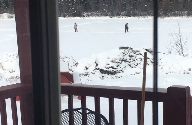 Alaska log cabins on the pond B & B