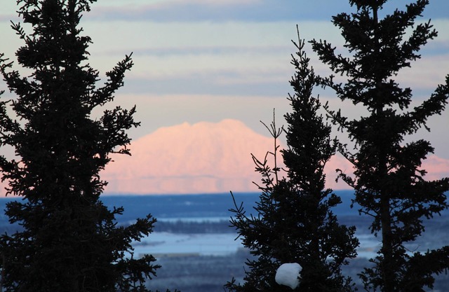 Alaskan Trailside With Views