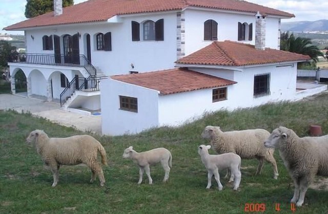 Alcobaça near Nazaré and S Martinho do Porto Beaches - Apart3Bedrooms5/8 Pax-floor 0