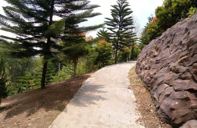 Aldeoz Dempo Pagar Alam Villa Sumsel