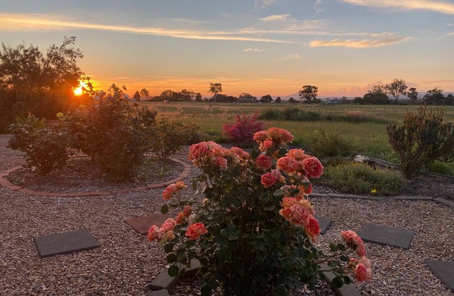 Ali's Place - Art and Views Gippsland