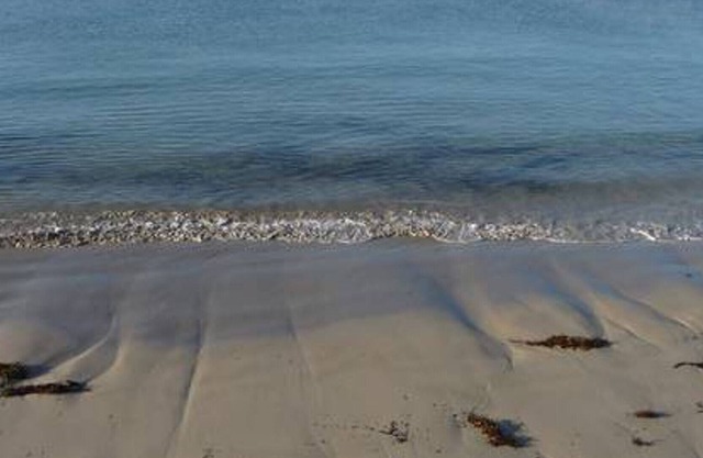 ALLESTREE ESCAPE - Ultimate Seaside Escape