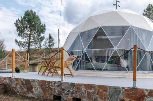 Alma-Rio Dome by Mycelia