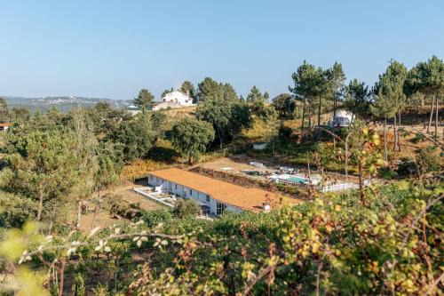 Alma-Rio Room 2 by Mycelia