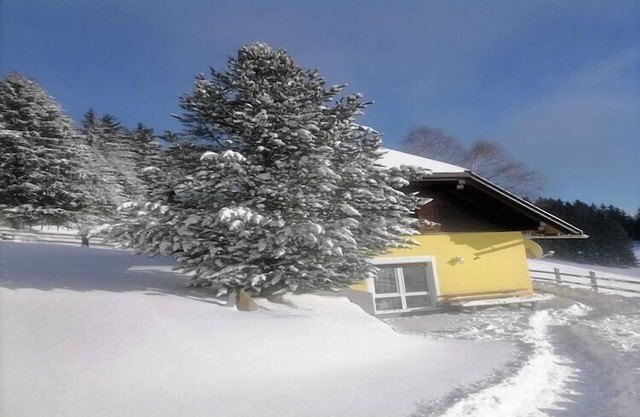 Alpine House in Prebl near Klippitztörl Ski Area
