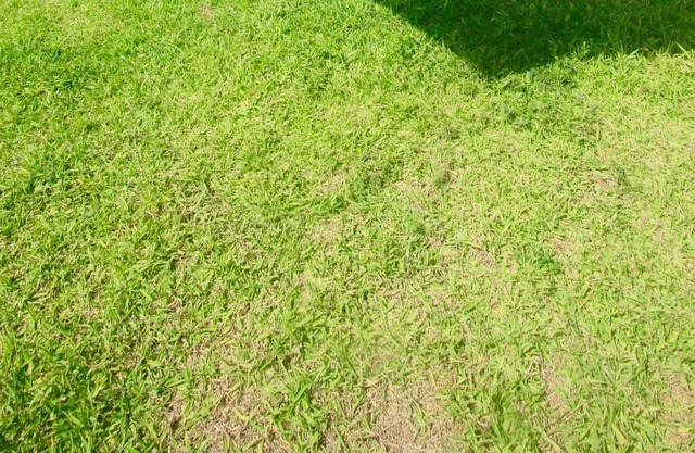 Alpinopolis Ecological Lodge in Puente Tabla/Cerro Azul - Peru