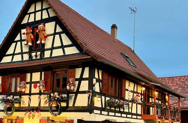 Alsace Gîte 3 * "Coeur de Cigogne" -15 minutes Strasbourg/Obernai