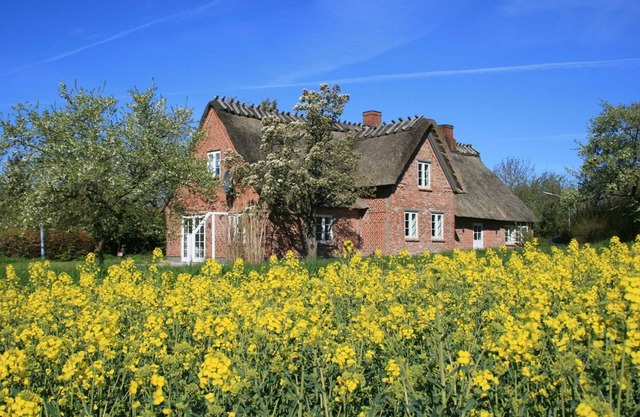 Altes Schusterhus - Ferienhaus Altes Schusterhus