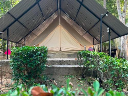 Amar Camp Taman Negara Kuala Tahan