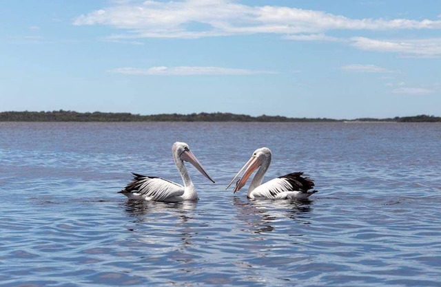 Amazing Ansons Bay remote paradise for the family in the Bay of Fires area.