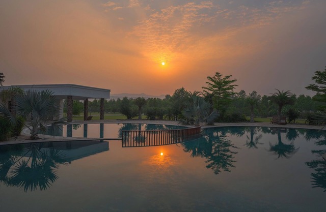 Amritara Olive Trotter