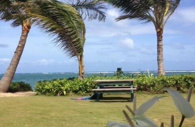 An Absolute, Perfect Paradise and Affordable