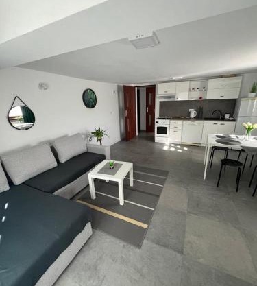 Apartament Koninki