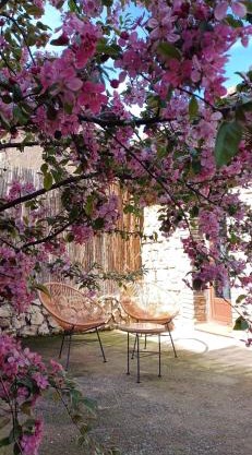 Apartamento Bajo Los Arcos