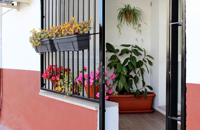 Apartamento turístico la Vera