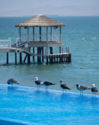 Apartamento Frente a Islas Ballestas
