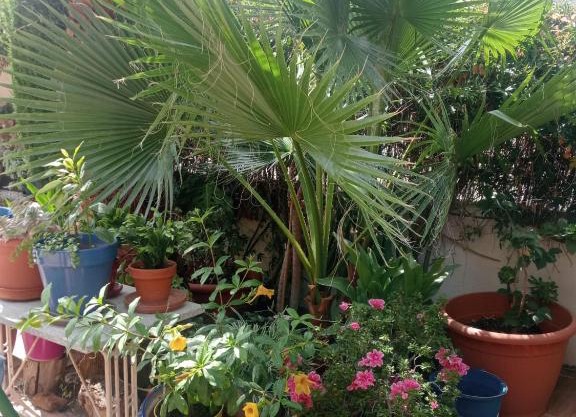 Apartamento pico del veleta