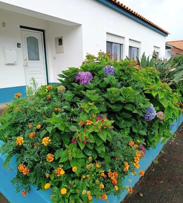 Apartamento da Matilde