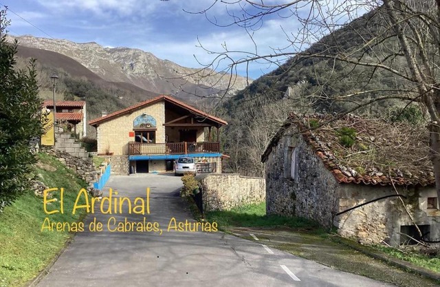 Apartamentos El Ardinal