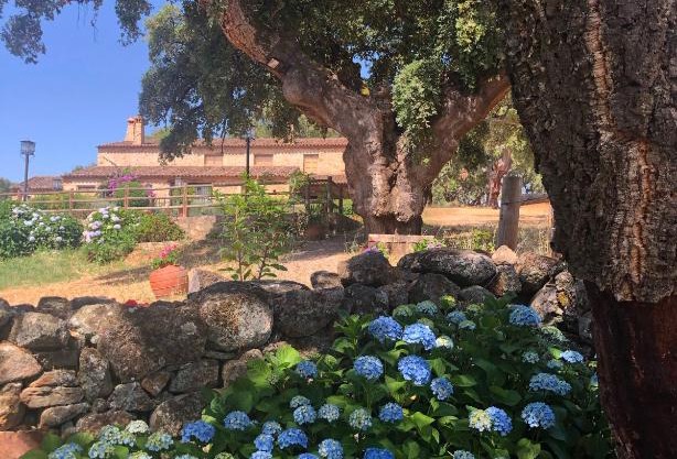 Apartamentos Rurales La Macera ****