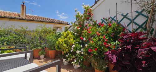 Apartamentos Los Descalzos Ángel With Private Terrace Free Parking