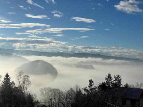 apartamentwroznowiepl