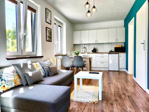 Apartamenty Jodłowa - bilard - bawialnia - królikarnia