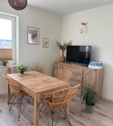 Apartamenty na Wzgórzu Boho 1- Jacuzzi, sauna, survival, free parking