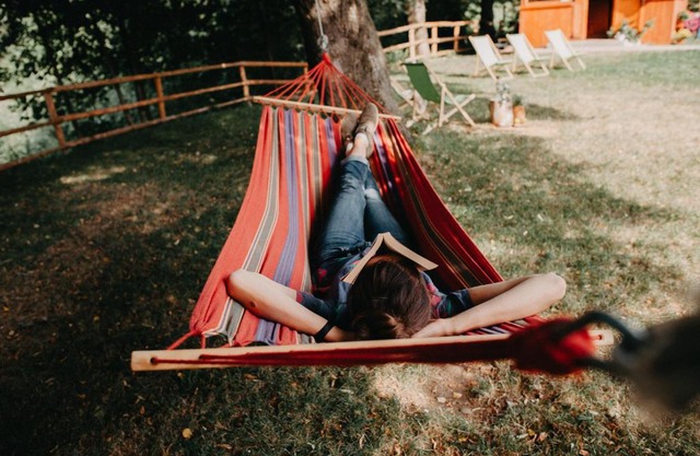 Apartamenty Pod Lipami