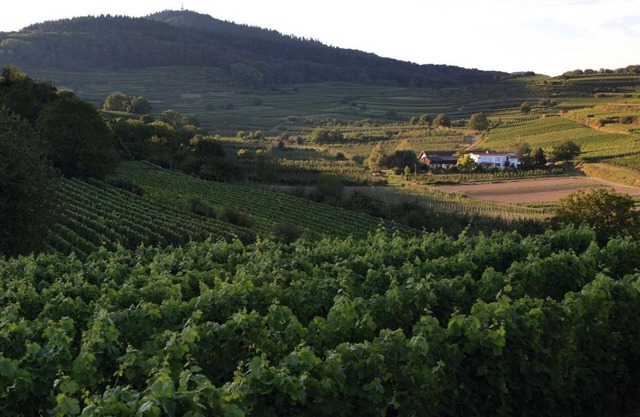 Apartment 'Schambachhof'