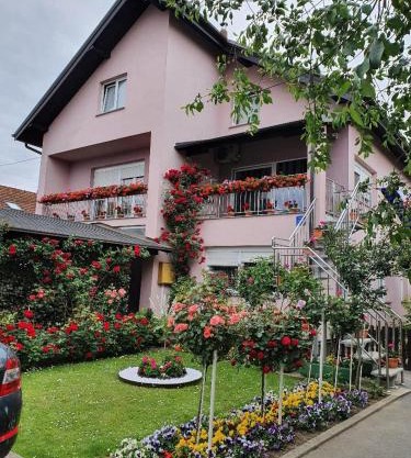 Apartman Vesna
