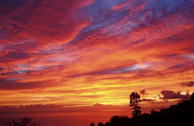 Apartment in biological farm