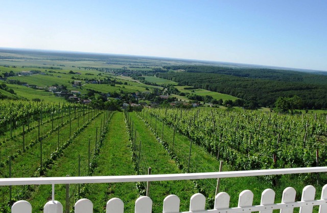 Apartment Rossmann - Apartment Szapary