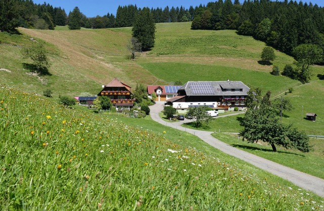 Apartment 'Auszeit -Gipfhof-' with Mountain View, Shared Garden and Wi-Fi