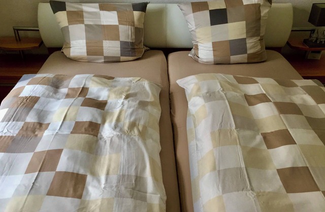 Apartment '1' with Shared Garden