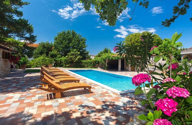 Apartment Antonia 3 veći prizemlje