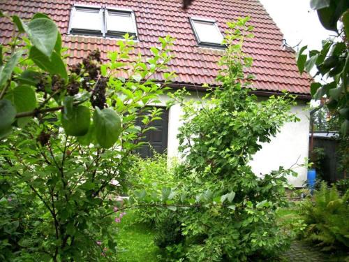 Apartment at the Knappensee in Groß Särchen