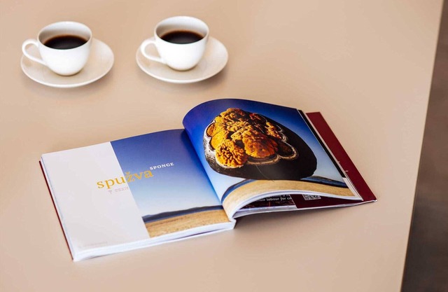 Apartment Budinski Beachfront